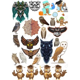Owl Set - Whimsical & Realistic in and
