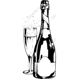 Elegant Champagne Bottle and Glass