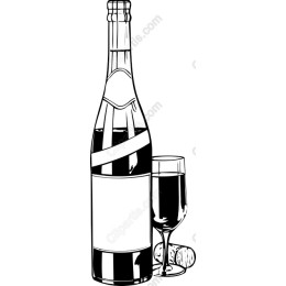 Elegant Sparkling Wine Set