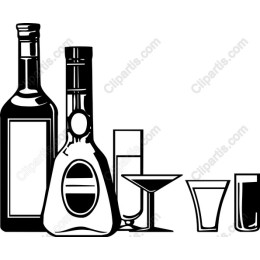 Elegant Alcoholic Beverages Set