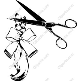 Chic Scissors and Braided Hair