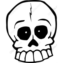 Whimsical Skull