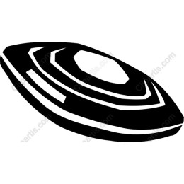 Stylish Clam Shell