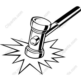 Professional Gavel