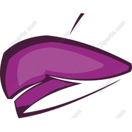 Sleek Purple