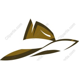 Elegant Hat