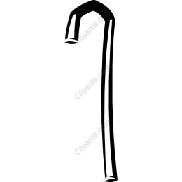 Stylish Walking Cane
