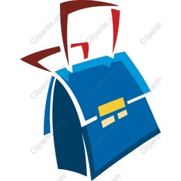 Stylish Bag