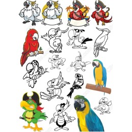Pirate Parrots Set