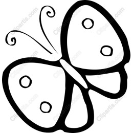 Charming Butterfly