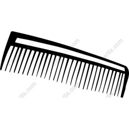 Sleek Hair Comb