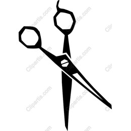 Premium Scissors