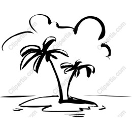 Tropical Paradise Palm Trees