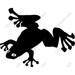 Playful Frog