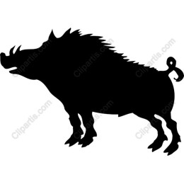 Wild Boar