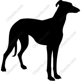 Elegant Greyhound
