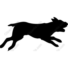 Dynamic Dog