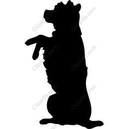 Playful Dog