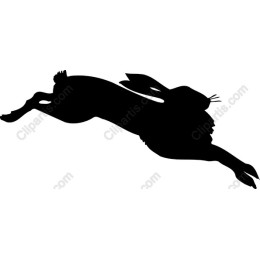 Leaping Rabbit