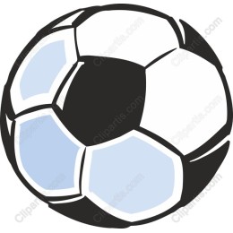 Premium Soccer Ball