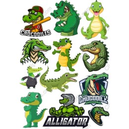 Crocodile Character Collection