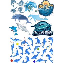 Dolphin Pack