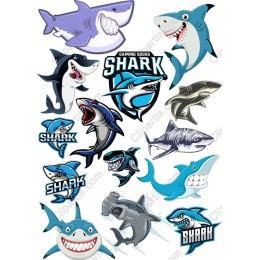 Dynamic Sharks Pack