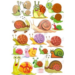 Charming Snail Set