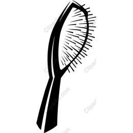 Stylish Hairbrush