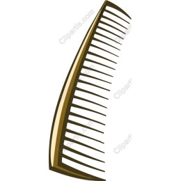 Stylish Comb