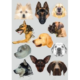 Dog Faces Bundle