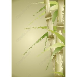 Bamboo Serenity