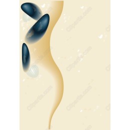 Elegant Organic Flow