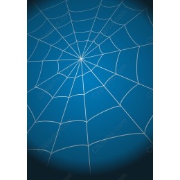 Intricate Spiderweb in Blue