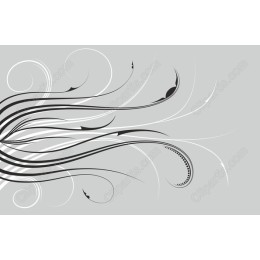 Elegant Flowing Lines