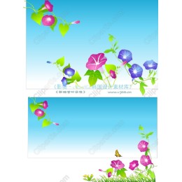 Vibrant Morning Glory Floral