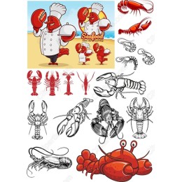 Lobster Chef Bundle
