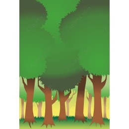 Lush Forest - Tranquil Nature