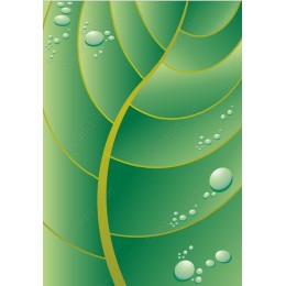 Abstract Leaf with Dew Drops