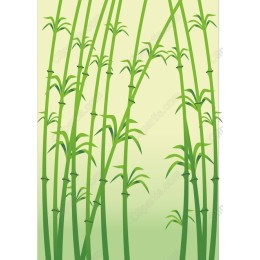 Bamboo Forest
