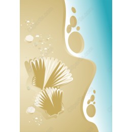 Coastal Serenity Seashell