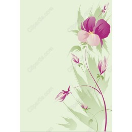 Vibrant Floral Elegance