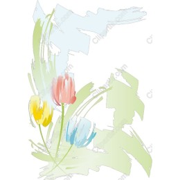 Vibrant Tulip Floral
