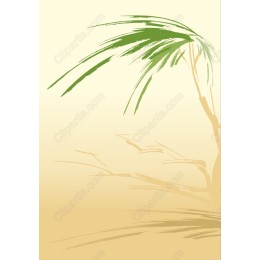 Tropical Palm Tree