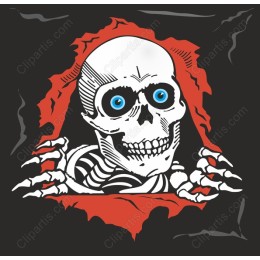 Skeleton Emergence