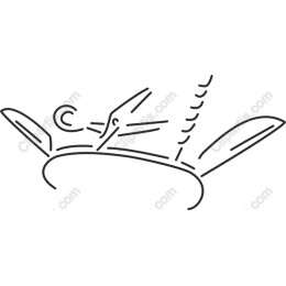 Elegant Scissors