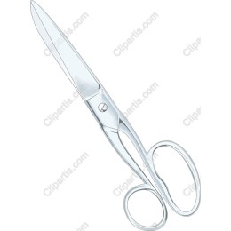 Elegant Scissors