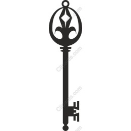 Elegant Vintage Key
