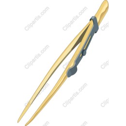 Precision Compass