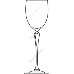 Elegant Wine Glass